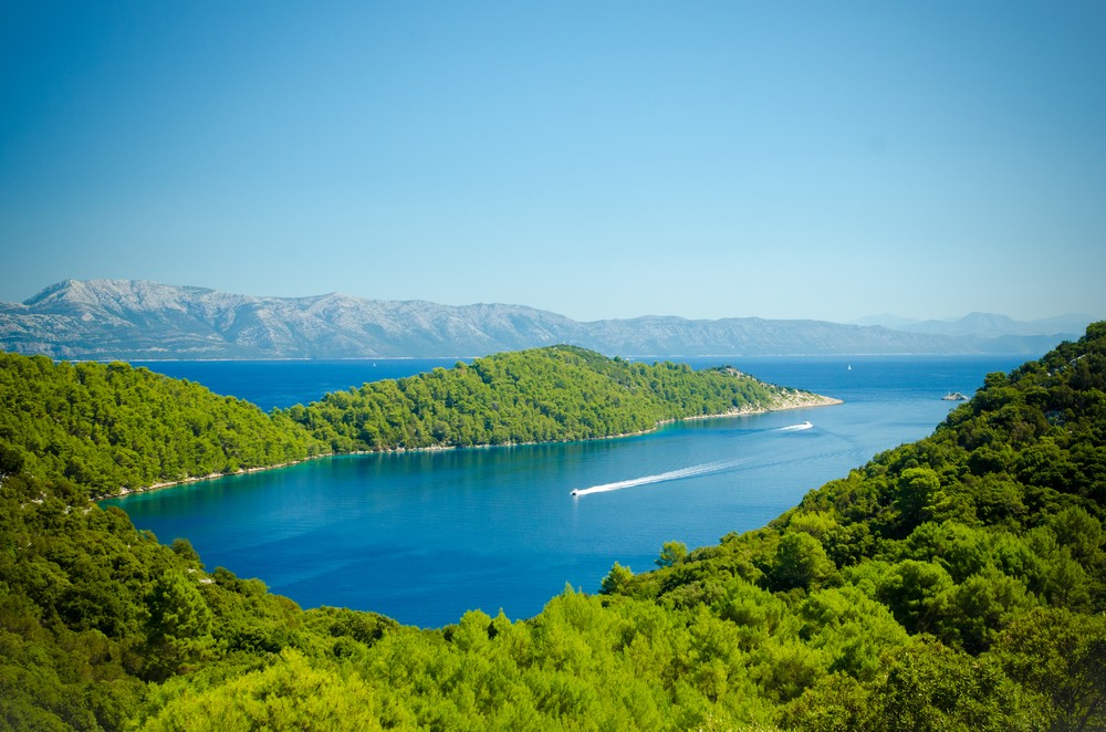 Private NP Mljet Boat and Walking Tour