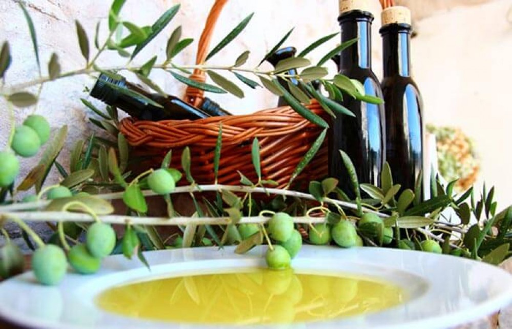 Private Konavle Olive Oil Tasting