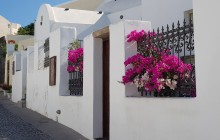 SantoriniExperts6