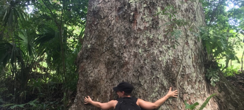 The Jaguar Footprint: Hiking & Gaita Jamming