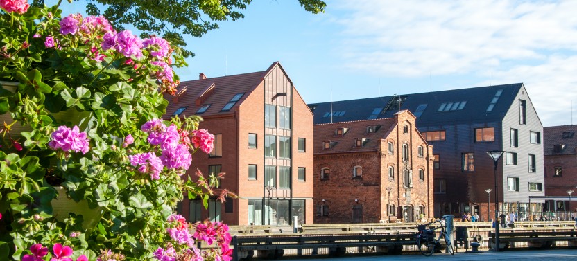 Klaipeda & Palanga Tour (Private Tour)