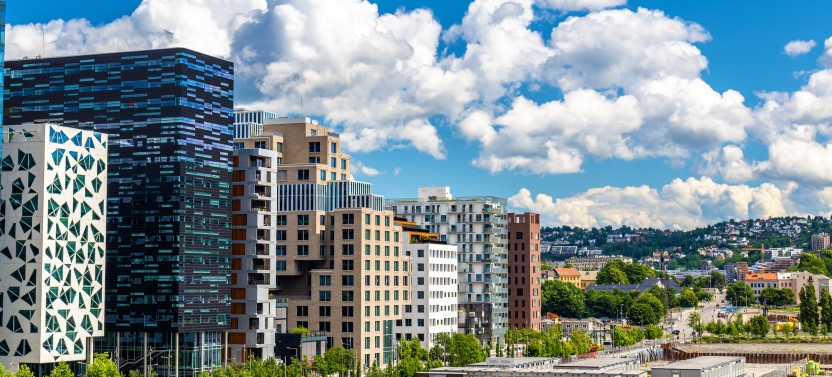 Oslo Panoramic Private Tour