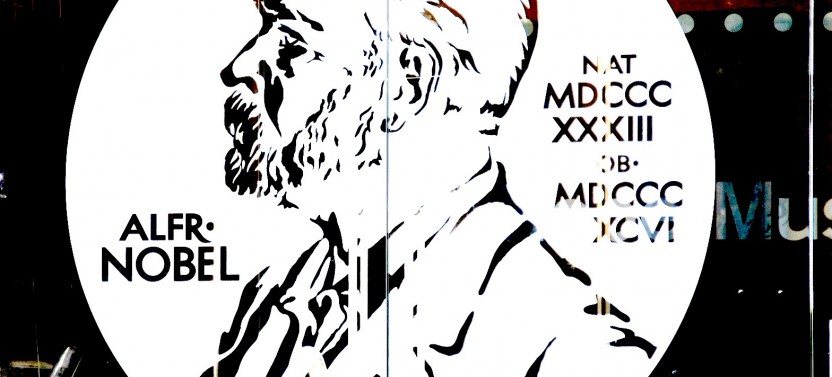 Stockholm: Alfred Nobel & The City Hall (Private Tour)