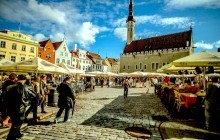 Tallinn Highlights Private Shore Excursion