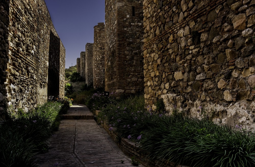 Guided Roman Theatre and Alcazaba Walking Tour