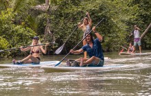 Paddle Board the Mangroves