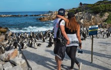 Best of Cape Town Highlights Private Tour in 2 Days