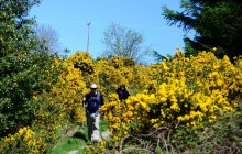 The Wicklow Way - 4-10 Day Self-Guided Walking Tour