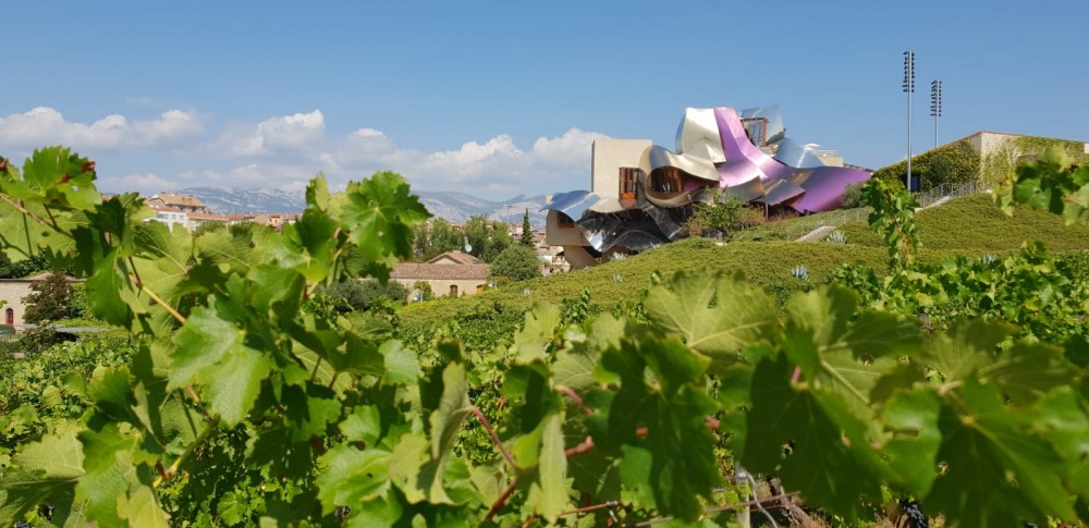 Rioja Wine Tour: Winery & Traditional Lunch From San Sebastian