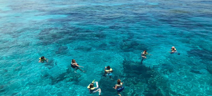 Key West's Sip & Dip Reef Snorkel w/ Open Bar