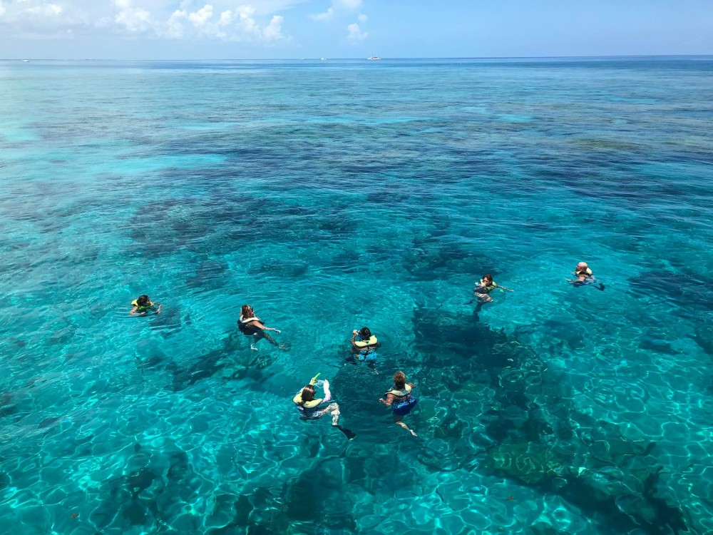 Key West's Sip & Dip Reef Snorkel w/ Open Bar Key West Project Expedition