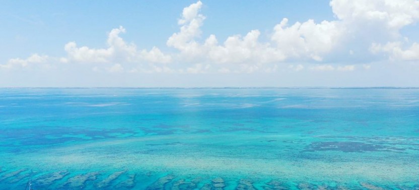Key West's Sip & Dip Reef Snorkel w/ Open Bar