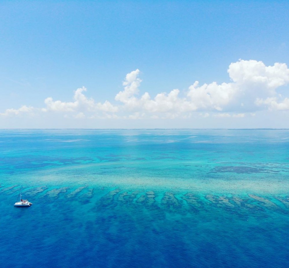 Key West's Sip & Dip Reef Snorkel w/ Open Bar Key West Project Expedition
