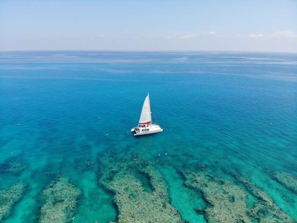 Key West's Sip & Dip Reef Snorkel w/ Open Bar - Key West | Project ...