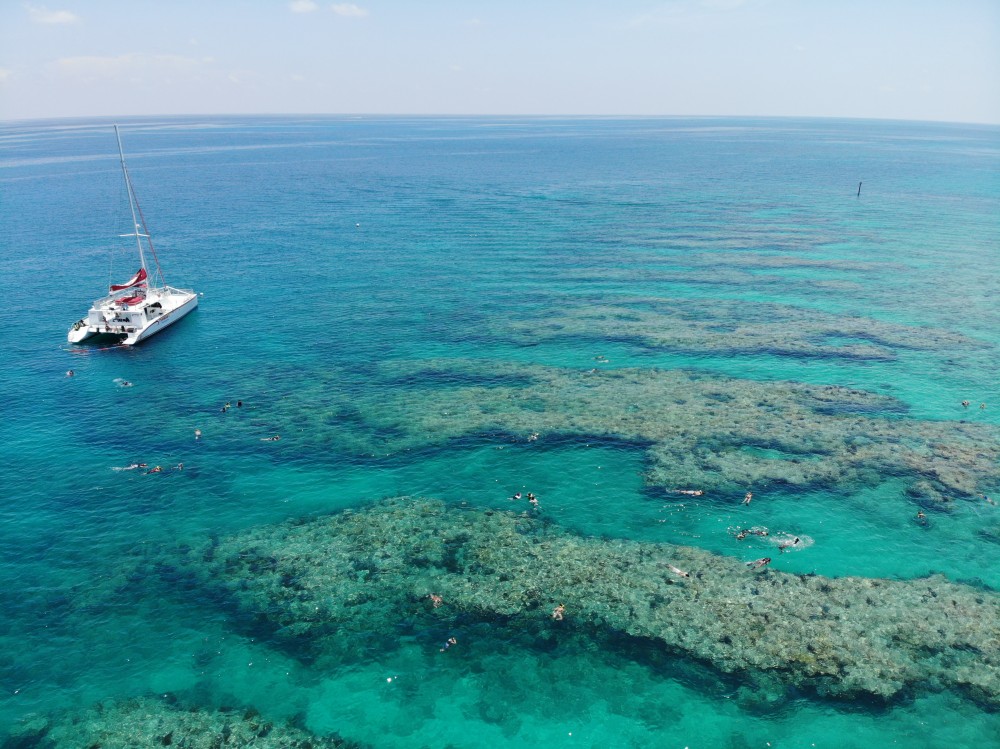 Key West's Sip & Dip Reef Snorkel w/ Open Bar Key West Project Expedition