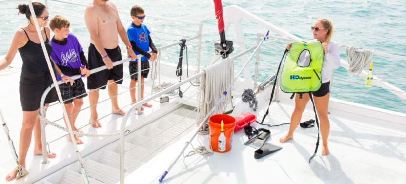 The Triple Combo - Dolphin Watch, Reef Snorkel & Sunset Cruise
