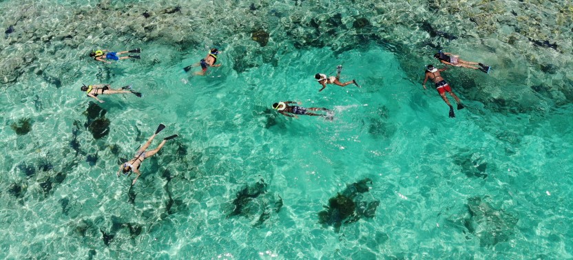 The Triple Combo - Dolphin Watch, Reef Snorkel & Sunset Cruise