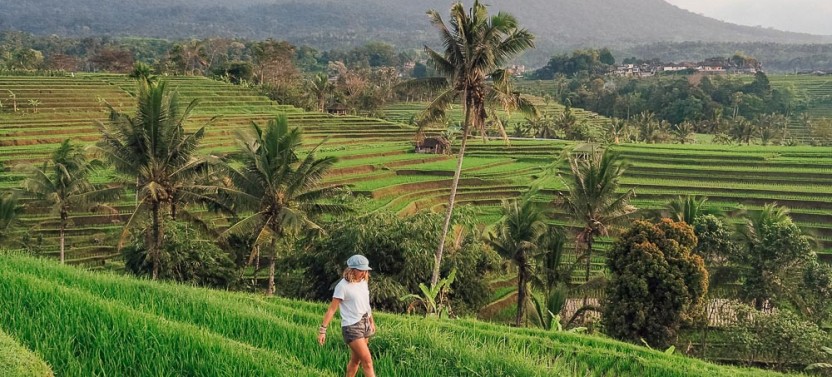 Private Bali Full-Day Water Temples And UNESCO Rice Terraces Tour