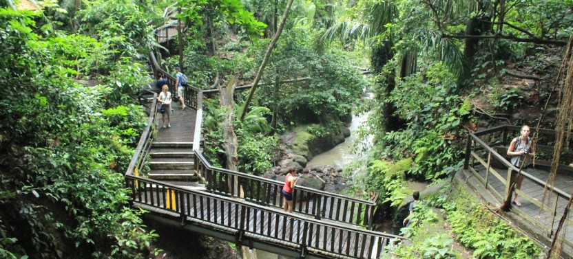 Private Quad Adventure With Ubud Rice Terrace & Monkey Forest