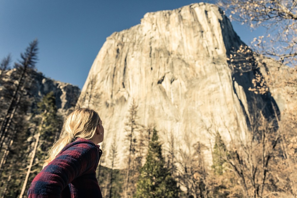 Total Yosemite Experience & Giant Sequoias Tour