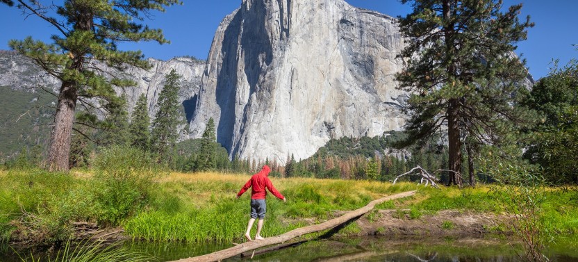 Yosemite and Giant Sequoias One Day Tour from San Francisco