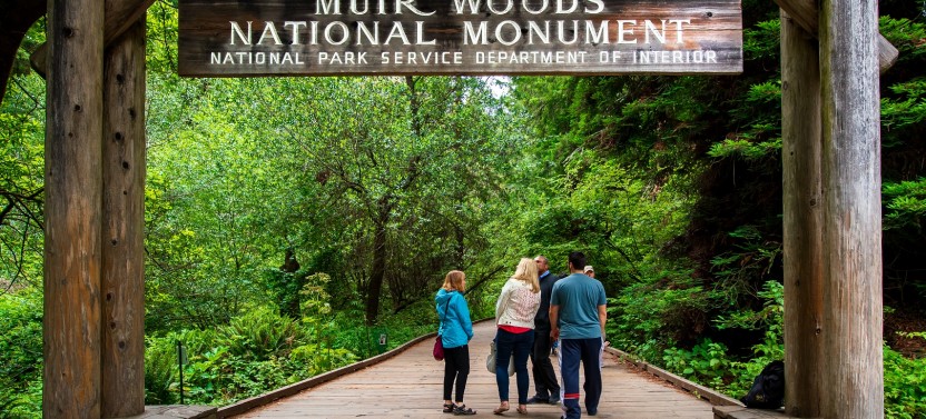 Muir Woods & Sausalito Morning Tour with Park Admission