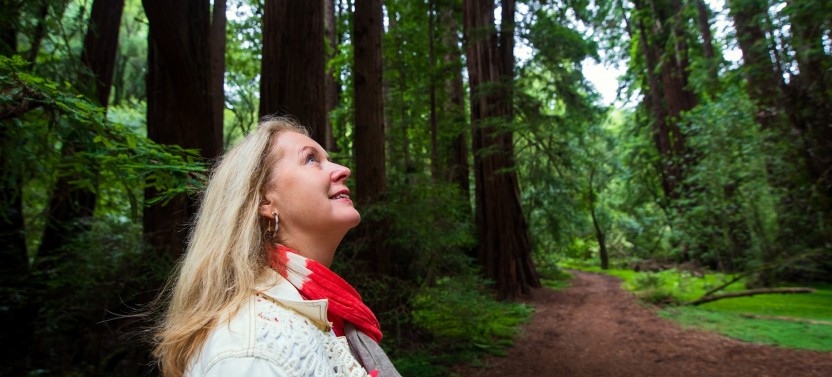 Muir Woods & Sausalito Morning Tour with Park Admission