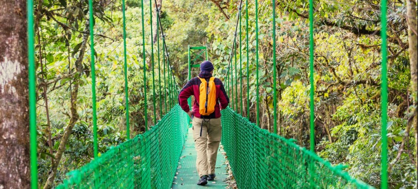 Private Tour: Arenal Volcano Hanging Bridges & Baldi Hot Springs Tour