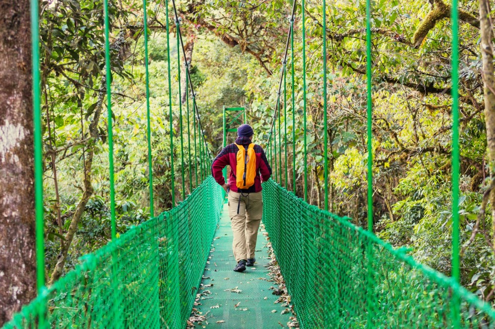 Arenal Volcano Combo 1: Hanging Bridges & Baldi Hot Springs Tour