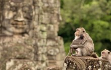 Small Group Angkor Discovery By Bicycle Tour (3 Days)
