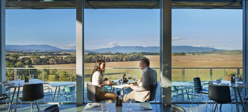 Yarra Valley Wine Day Tour
