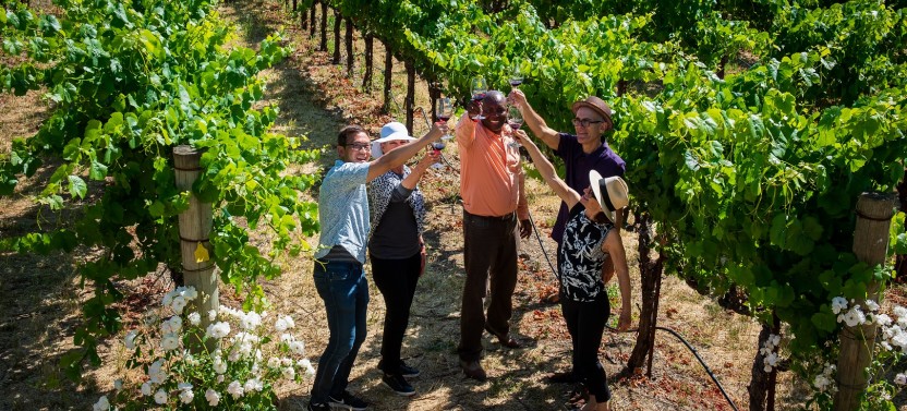 Exclusive Muir Woods, Napa & Sonoma Valley Wine Tour with Gourmet Lunch