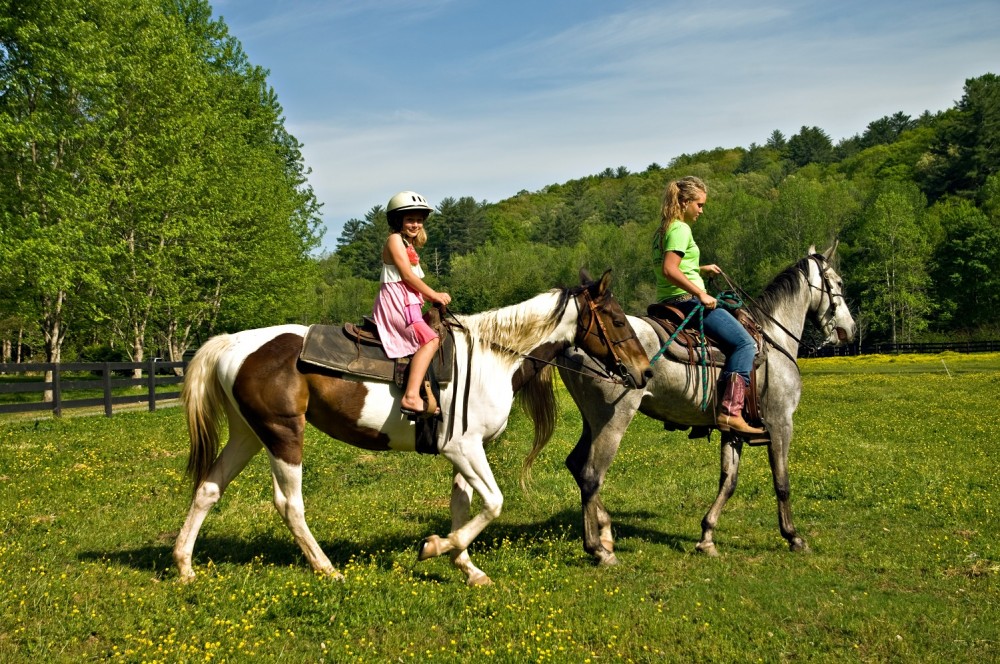 Greenway Nature Tours