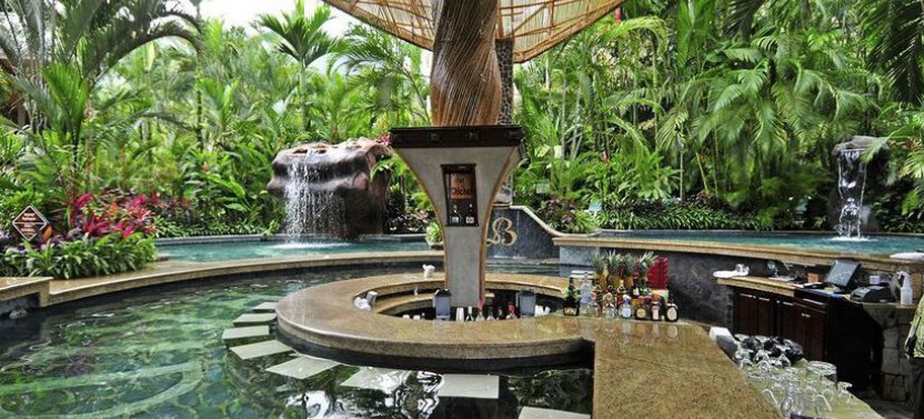 Private Tour: Arenal Zip Line Canopy & Baldi Hot Springs Combo
