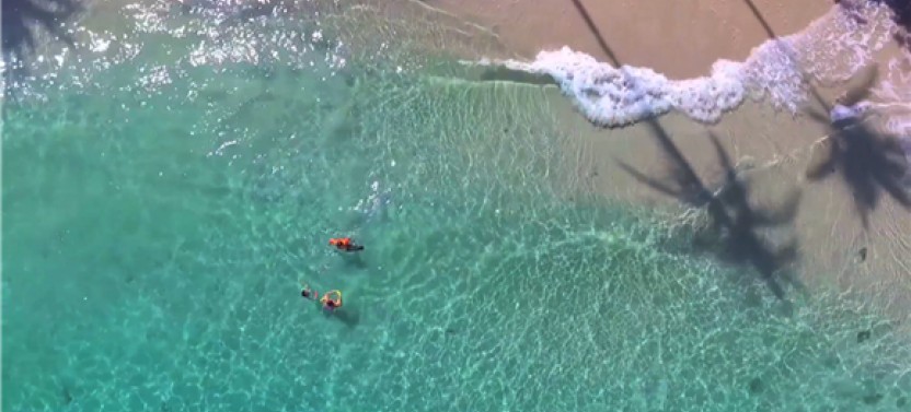 Private Tour: Beach Break Day in Pacific Ocean