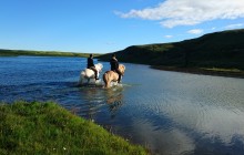 Icelandic Horseworld4