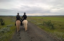 Icelandic Horseworld5