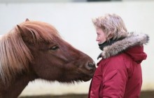 Icelandic Horseworld3