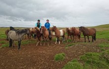 Icelandic Horseworld3