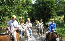 Private Tour: Beach, Rainforest and Mangrove Horseback Riding
