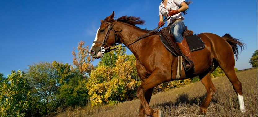 Private: Rainforest Horseback Riding Expedition and Cocodrile Safari Boat