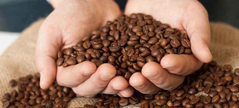 Private Tour: Doka Estate Coffee Tour & La Paz Waterfalls Gardens