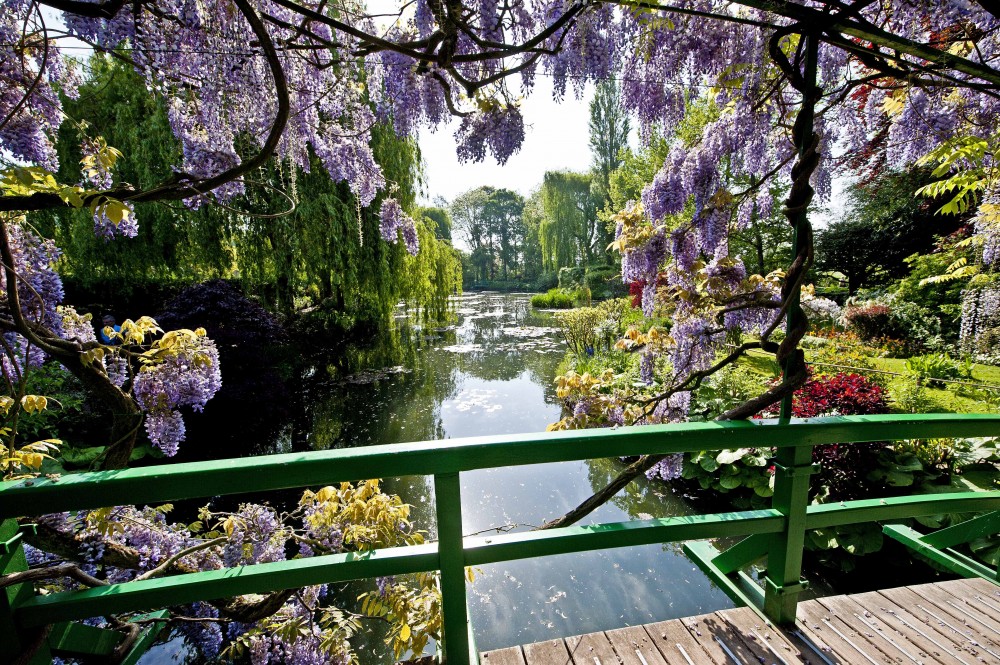 Private Giverny & Versailles Day Trip From Paris