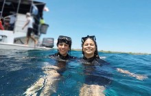 Whale Watching In Punta Cana From Miches