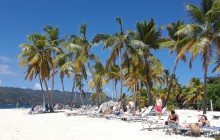 Whale Watching In Punta Cana From Samana with Lunch