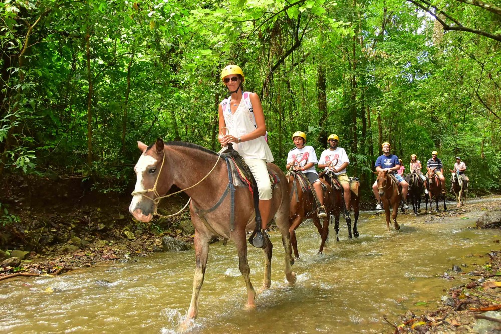 Private Tour Zipline Canopy & Horseback Riding Combo San Jose