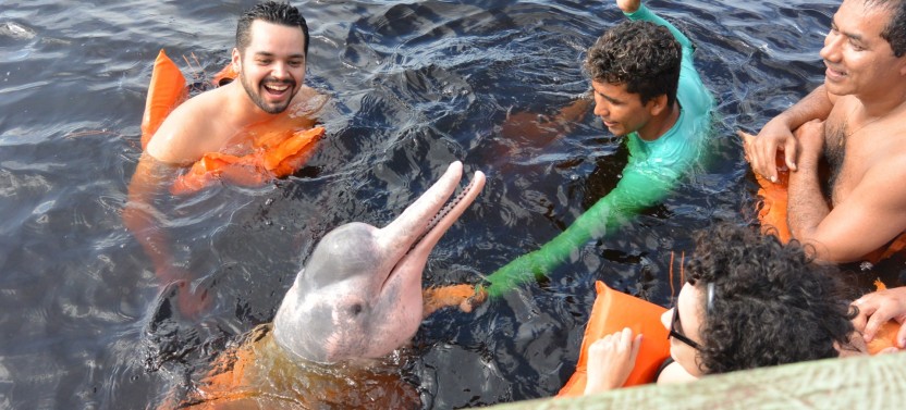 Full Day Amazon Safari Tour