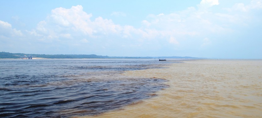 Full Day Amazon Safari Tour