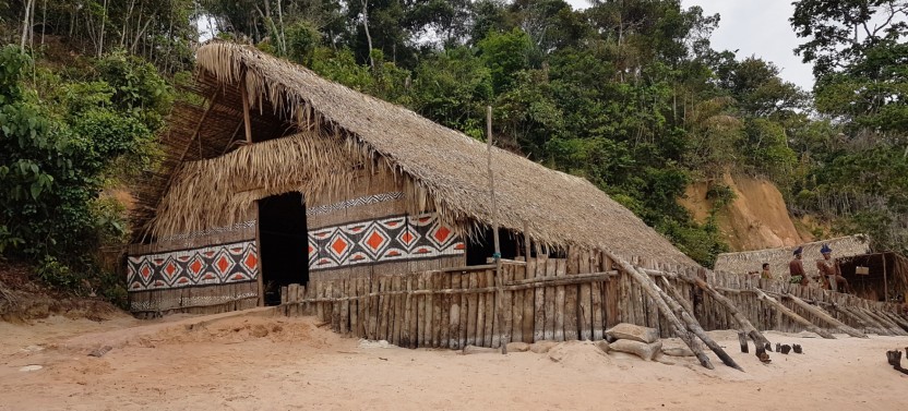 Full Day Amazon Safari Tour