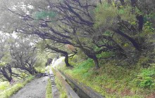 Pearl of the Atlantic3